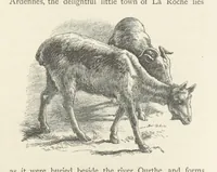 An illustration from In the Ardennes ... With ... illustrations by T. R. Macquoid (1881)