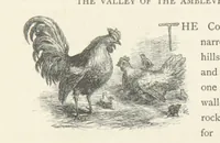 An illustration from In the Ardennes ... With ... illustrations by T. R. Macquoid (1881)