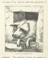 Picture 14 of 52 from In the Ardennes ... With ... illustrations by T. R. Macquoid (1881), leaf 90