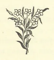 An illustration from Out of their Element. A novel (1884)