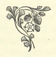 An illustration from Out of their Element. A novel (1884)