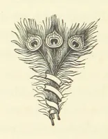Picture 8 of 11 from Out of their Element. A novel (1884), leaf 244