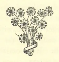 Picture 9 of 11 from Out of their Element. A novel (1884), leaf 267