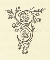 An illustration from Out of their Element. A novel (1884)