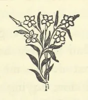 An illustration from Out of their Element. A novel (1884)