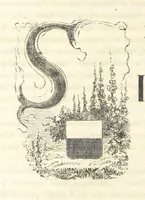An illustration from Le cento città d'Italia. Descrizione storica, politica, etc (1871)