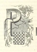 An illustration from Le cento città d'Italia. Descrizione storica, politica, etc (1871)