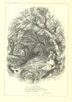 An illustration from The Months illustrated by pen and pencil. Edited by ... S. M. The designs by N. Humphreys, J. Gilbert, etc (1876)