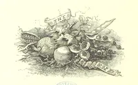 An illustration from The Months illustrated by pen and pencil. Edited by ... S. M. The designs by N. Humphreys, J. Gilbert, etc (1876)