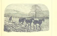 An illustration from The Months illustrated by pen and pencil. Edited by ... S. M. The designs by N. Humphreys, J. Gilbert, etc (1876)
