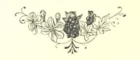 An illustration from The Months illustrated by pen and pencil. Edited by ... S. M. The designs by N. Humphreys, J. Gilbert, etc (1876)