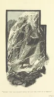 Picture 10 of 26 from Shafts from an Eastern Quiver, etc (1894), leaf 87