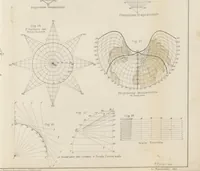 An illustration from La Terra, trattato popolare di geografia universale per G. Marinelli ed altri scienziati italiani, etc. [With illustrations and maps (1898)