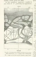Picture 97 of 502 from La Terra, trattato popolare di geografia universale per G. Marinelli ed altri scienziati italiani, etc. [With illustrations and maps (1898), leaf 136