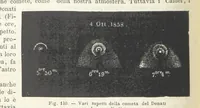 Picture 106 of 502 from La Terra, trattato popolare di geografia universale per G. Marinelli ed altri scienziati italiani, etc. [With illustrations and maps (1898), leaf 154