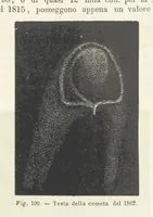 Picture 107 of 502 from La Terra, trattato popolare di geografia universale per G. Marinelli ed altri scienziati italiani, etc. [With illustrations and maps (1898), leaf 154