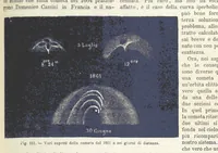 Picture 109 of 502 from La Terra, trattato popolare di geografia universale per G. Marinelli ed altri scienziati italiani, etc. [With illustrations and maps (1898), leaf 155