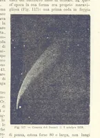 Picture 114 of 502 from La Terra, trattato popolare di geografia universale per G. Marinelli ed altri scienziati italiani, etc. [With illustrations and maps (1898), leaf 163