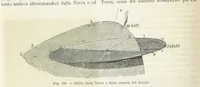 Picture 115 of 502 from La Terra, trattato popolare di geografia universale per G. Marinelli ed altri scienziati italiani, etc. [With illustrations and maps (1898), leaf 164
