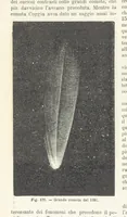 Picture 117 of 502 from La Terra, trattato popolare di geografia universale per G. Marinelli ed altri scienziati italiani, etc. [With illustrations and maps (1898), leaf 166