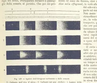 Picture 120 of 502 from La Terra, trattato popolare di geografia universale per G. Marinelli ed altri scienziati italiani, etc. [With illustrations and maps (1898), leaf 171