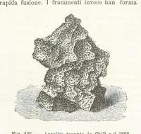 Picture 123 of 502 from La Terra, trattato popolare di geografia universale per G. Marinelli ed altri scienziati italiani, etc. [With illustrations and maps (1898), leaf 178