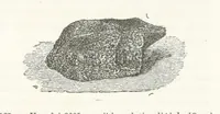 An illustration from La Terra, trattato popolare di geografia universale per G. Marinelli ed altri scienziati italiani, etc. [With illustrations and maps (1898)