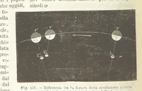 Picture 152 of 502 from La Terra, trattato popolare di geografia universale per G. Marinelli ed altri scienziati italiani, etc. [With illustrations and maps (1898), leaf 240