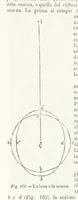 Picture 153 of 502 from La Terra, trattato popolare di geografia universale per G. Marinelli ed altri scienziati italiani, etc. [With illustrations and maps (1898), leaf 244