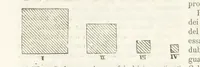 Picture 163 of 502 from La Terra, trattato popolare di geografia universale per G. Marinelli ed altri scienziati italiani, etc. [With illustrations and maps (1898), leaf 266