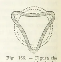 Picture 173 of 502 from La Terra, trattato popolare di geografia universale per G. Marinelli ed altri scienziati italiani, etc. [With illustrations and maps (1898), leaf 278