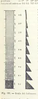 Picture 186 of 502 from La Terra, trattato popolare di geografia universale per G. Marinelli ed altri scienziati italiani, etc. [With illustrations and maps (1898), leaf 309