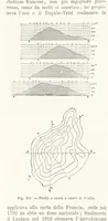 Picture 187 of 502 from La Terra, trattato popolare di geografia universale per G. Marinelli ed altri scienziati italiani, etc. [With illustrations and maps (1898), leaf 310