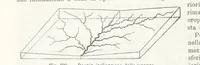 Picture 190 of 502 from La Terra, trattato popolare di geografia universale per G. Marinelli ed altri scienziati italiani, etc. [With illustrations and maps (1898), leaf 332