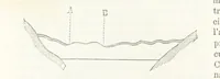 An illustration from La Terra, trattato popolare di geografia universale per G. Marinelli ed altri scienziati italiani, etc. [With illustrations and maps (1898)