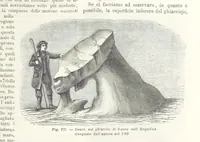 Picture 205 of 502 from La Terra, trattato popolare di geografia universale per G. Marinelli ed altri scienziati italiani, etc. [With illustrations and maps (1898), leaf 365