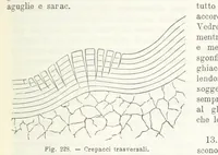 Picture 208 of 502 from La Terra, trattato popolare di geografia universale per G. Marinelli ed altri scienziati italiani, etc. [With illustrations and maps (1898), leaf 371