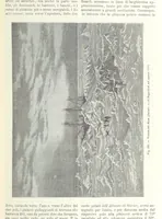Picture 217 of 502 from La Terra, trattato popolare di geografia universale per G. Marinelli ed altri scienziati italiani, etc. [With illustrations and maps (1898), leaf 385