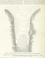 Picture 221 of 502 from La Terra, trattato popolare di geografia universale per G. Marinelli ed altri scienziati italiani, etc. [With illustrations and maps (1898), leaf 396