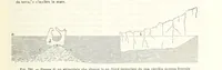 Picture 222 of 502 from La Terra, trattato popolare di geografia universale per G. Marinelli ed altri scienziati italiani, etc. [With illustrations and maps (1898), leaf 397