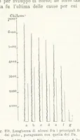 Picture 236 of 502 from La Terra, trattato popolare di geografia universale per G. Marinelli ed altri scienziati italiani, etc. [With illustrations and maps (1898), leaf 426