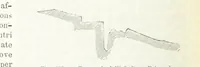 An illustration from La Terra, trattato popolare di geografia universale per G. Marinelli ed altri scienziati italiani, etc. [With illustrations and maps (1898)