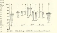 Picture 270 of 502 from La Terra, trattato popolare di geografia universale per G. Marinelli ed altri scienziati italiani, etc. [With illustrations and maps (1898), leaf 475