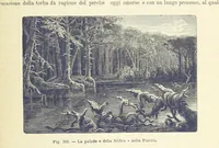 Picture 273 of 502 from La Terra, trattato popolare di geografia universale per G. Marinelli ed altri scienziati italiani, etc. [With illustrations and maps (1898), leaf 483