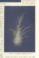 Picture 22 of 502 from La Terra, trattato popolare di geografia universale per G. Marinelli ed altri scienziati italiani, etc. [With illustrations and maps (1898), leaf 51