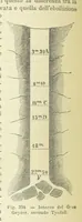 Picture 301 of 502 from La Terra, trattato popolare di geografia universale per G. Marinelli ed altri scienziati italiani, etc. [With illustrations and maps (1898), leaf 518