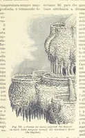 Picture 309 of 502 from La Terra, trattato popolare di geografia universale per G. Marinelli ed altri scienziati italiani, etc. [With illustrations and maps (1898), leaf 527