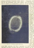 Picture 30 of 502 from La Terra, trattato popolare di geografia universale per G. Marinelli ed altri scienziati italiani, etc. [With illustrations and maps (1898), leaf 53
