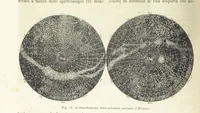 Picture 34 of 502 from La Terra, trattato popolare di geografia universale per G. Marinelli ed altri scienziati italiani, etc. [With illustrations and maps (1898), leaf 56