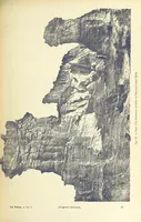 An illustration from La Terra, trattato popolare di geografia universale per G. Marinelli ed altri scienziati italiani, etc. [With illustrations and maps (1898)